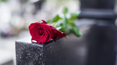 rose-on grave